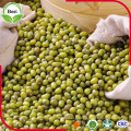 De Buena Calidad Raw Green Mung Beans